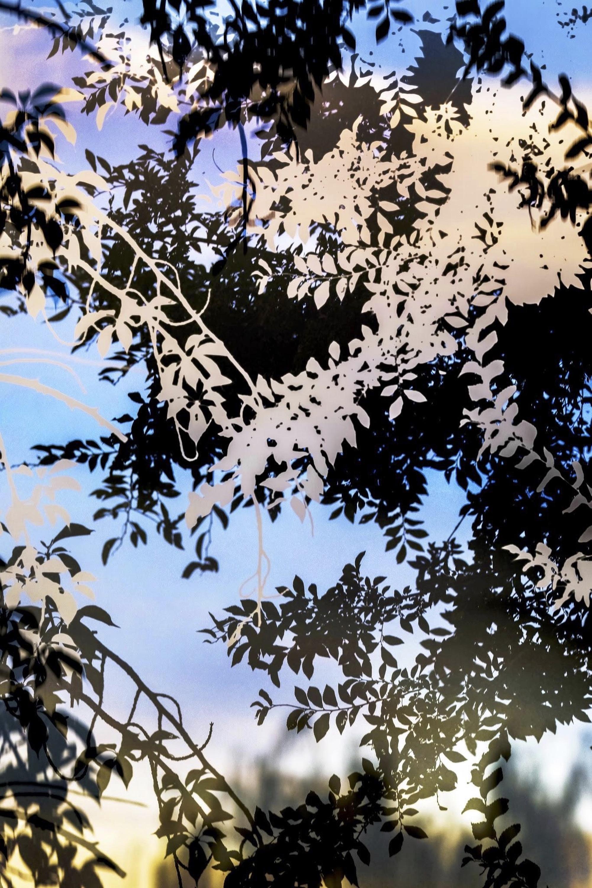 HDR_nature 012