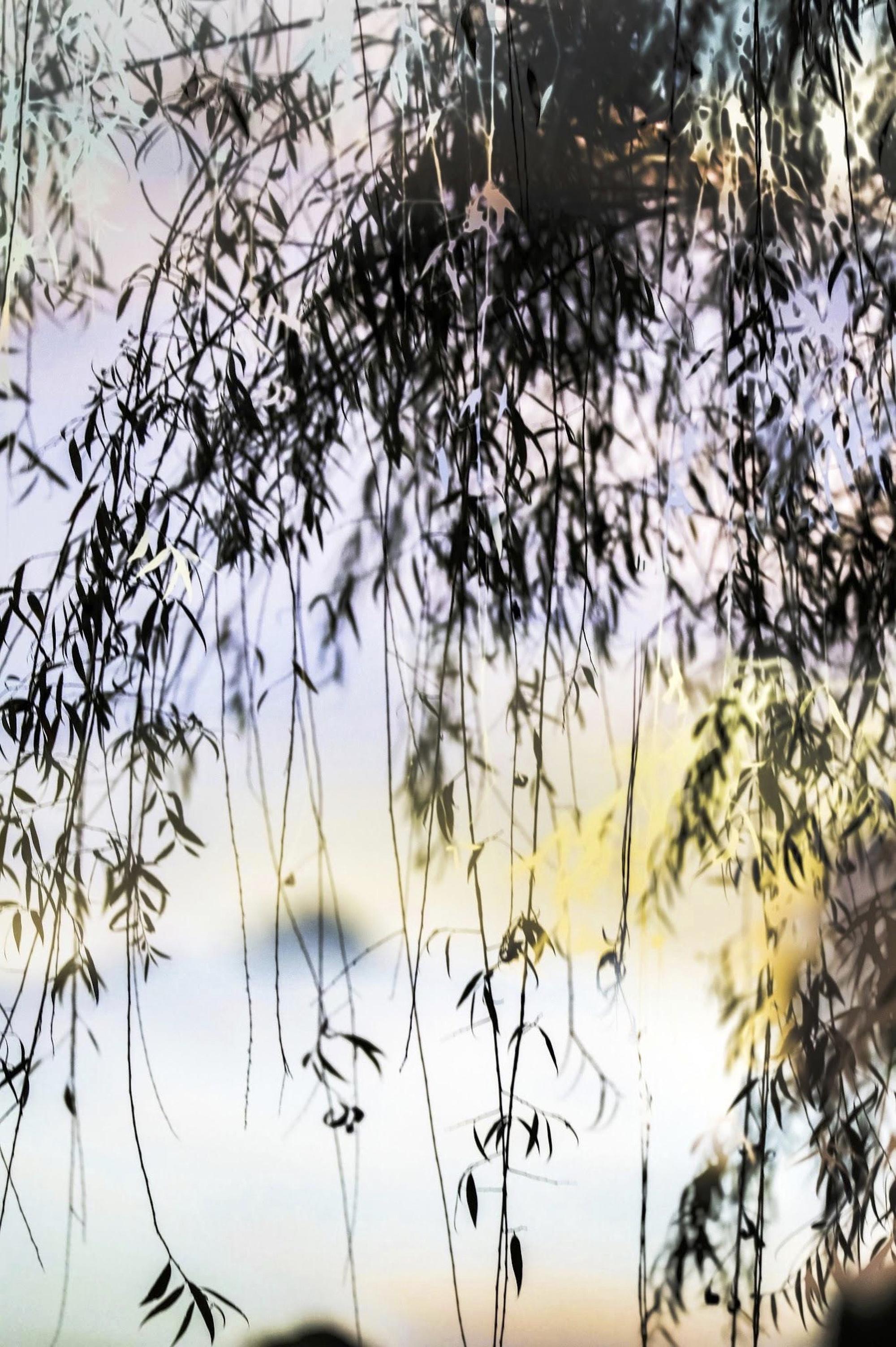 Yoshinori Mizutani Color Photograph - HDR_nature 013