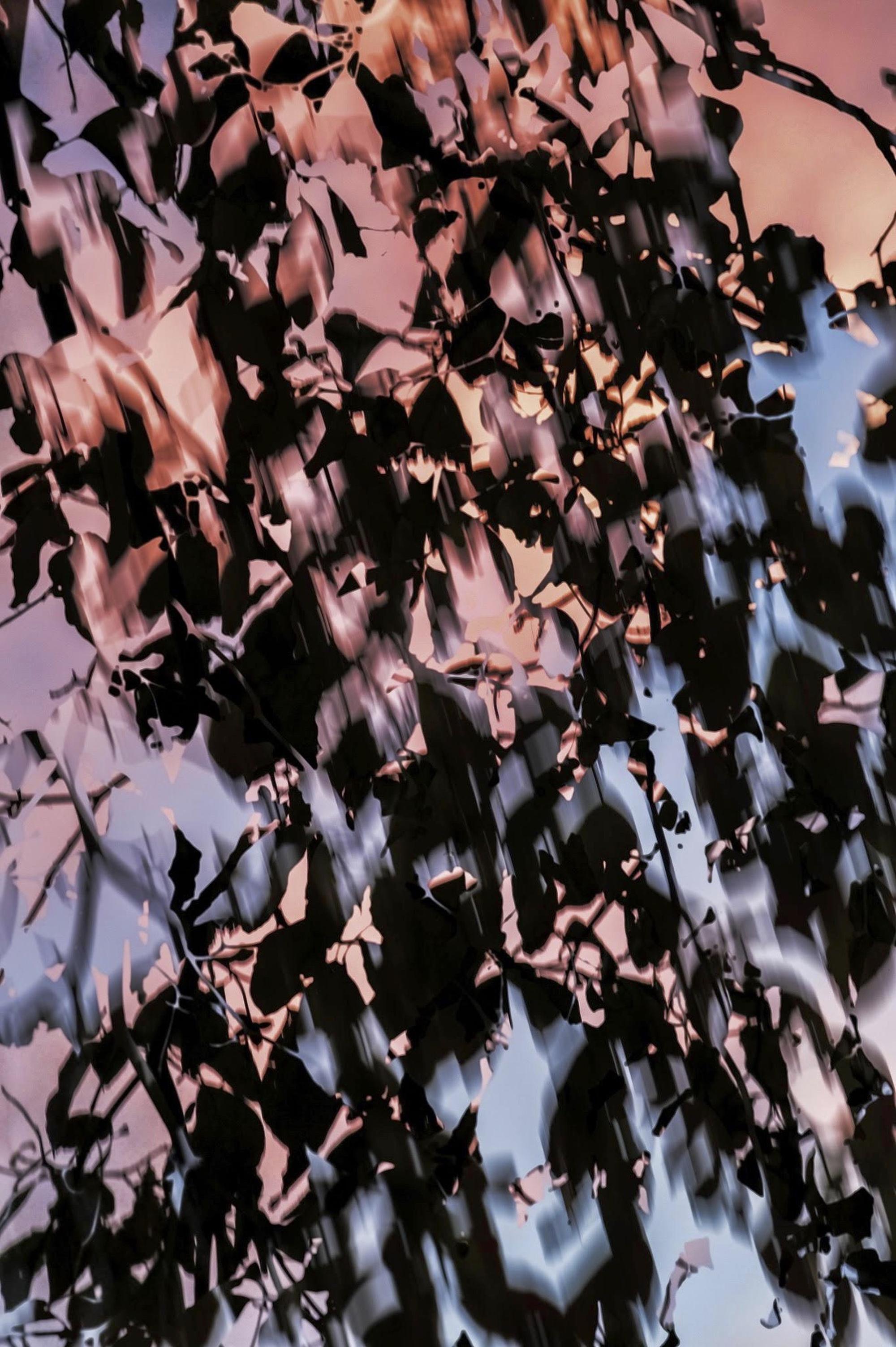 HDR_nature 014