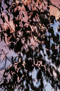 HDR_nature 014