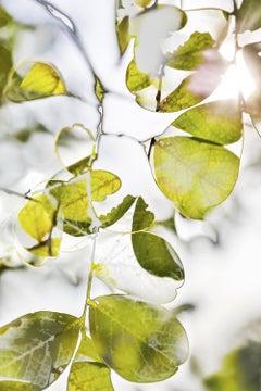 HDR_nature 015