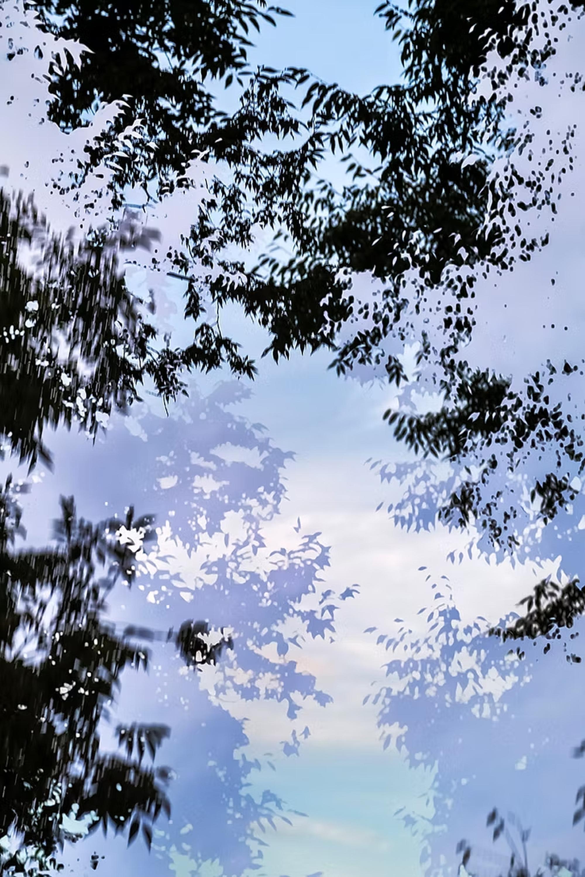 HDR_nature 017