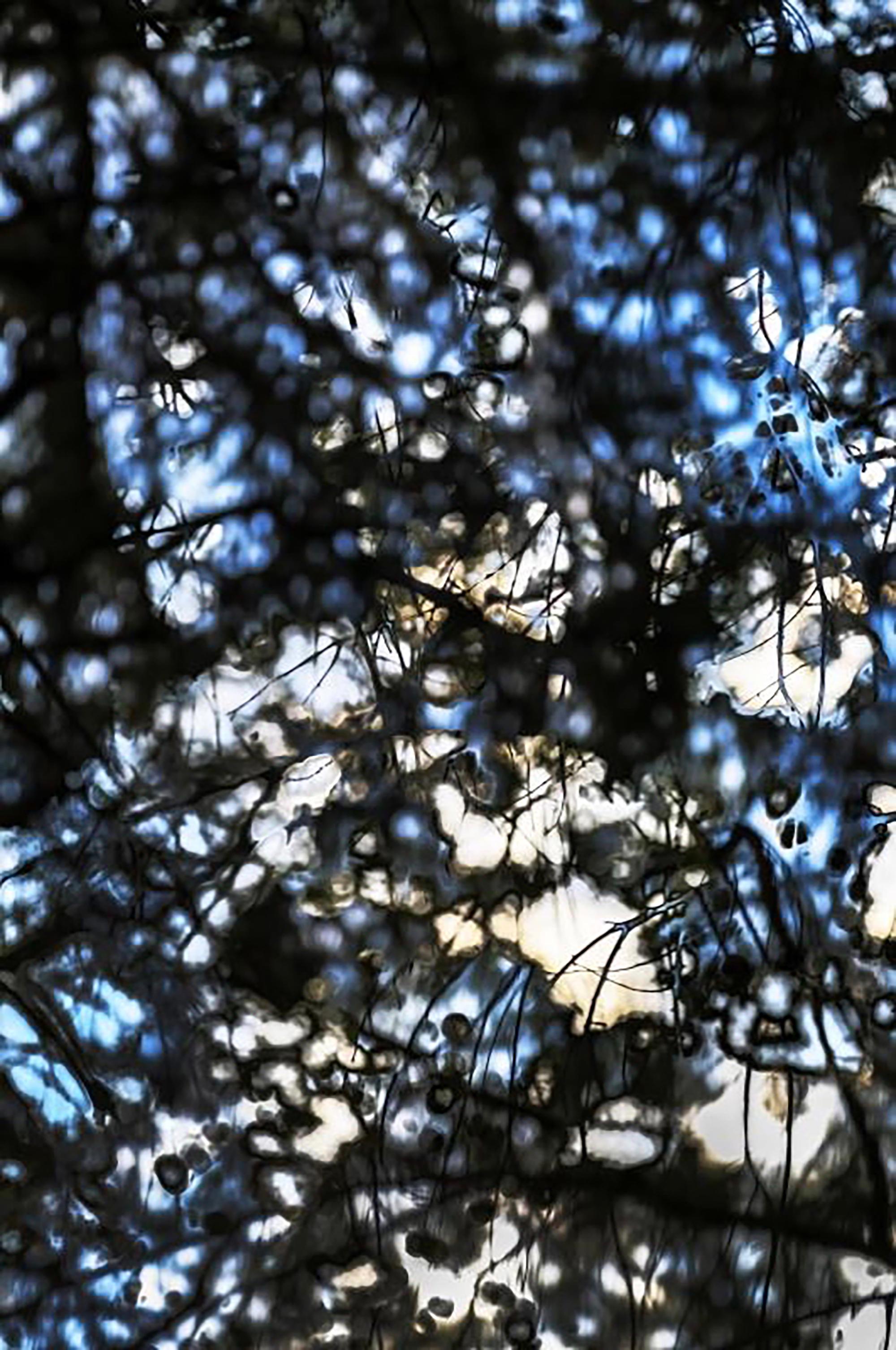 HDR_nature 020