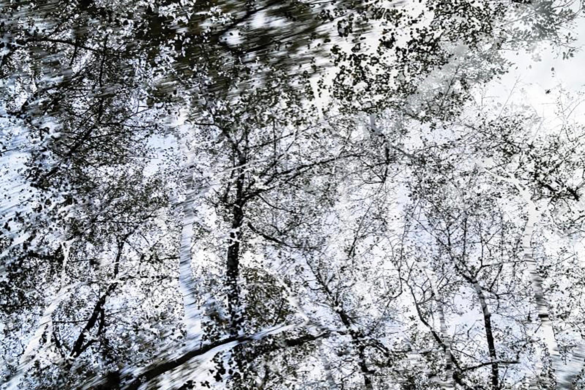 HDR_nature 021