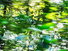 HDR_nature 024