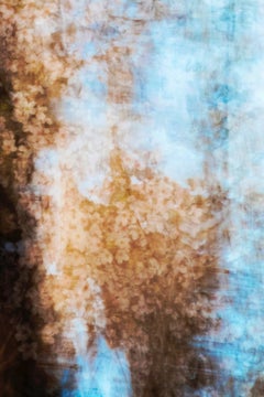 sakura 008 Yoshinori Mizutani, Farbe, Fotografie, Japan, Sakura, Frühling