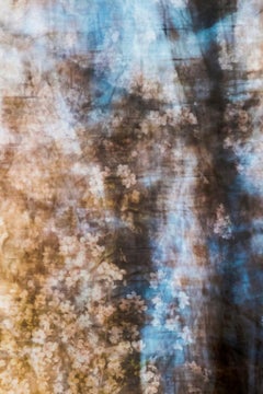 sakura 009 Yoshinori Mizutani, Farbe, Fotografie, Japan, Sakura, Frühling