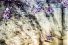 sakura 011  - Yoshinori Mizutani, Couleur, Photographie, Japon, Sakura, Printemps