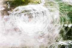 sakura 015 Yoshinori Mizutani, Farbe, Fotografie, Japan, Sakura, Frühling