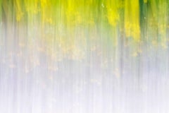 sakura 018 Yoshinori Mizutani, Farbe, Fotografie, Japan, Sakura, Frühling