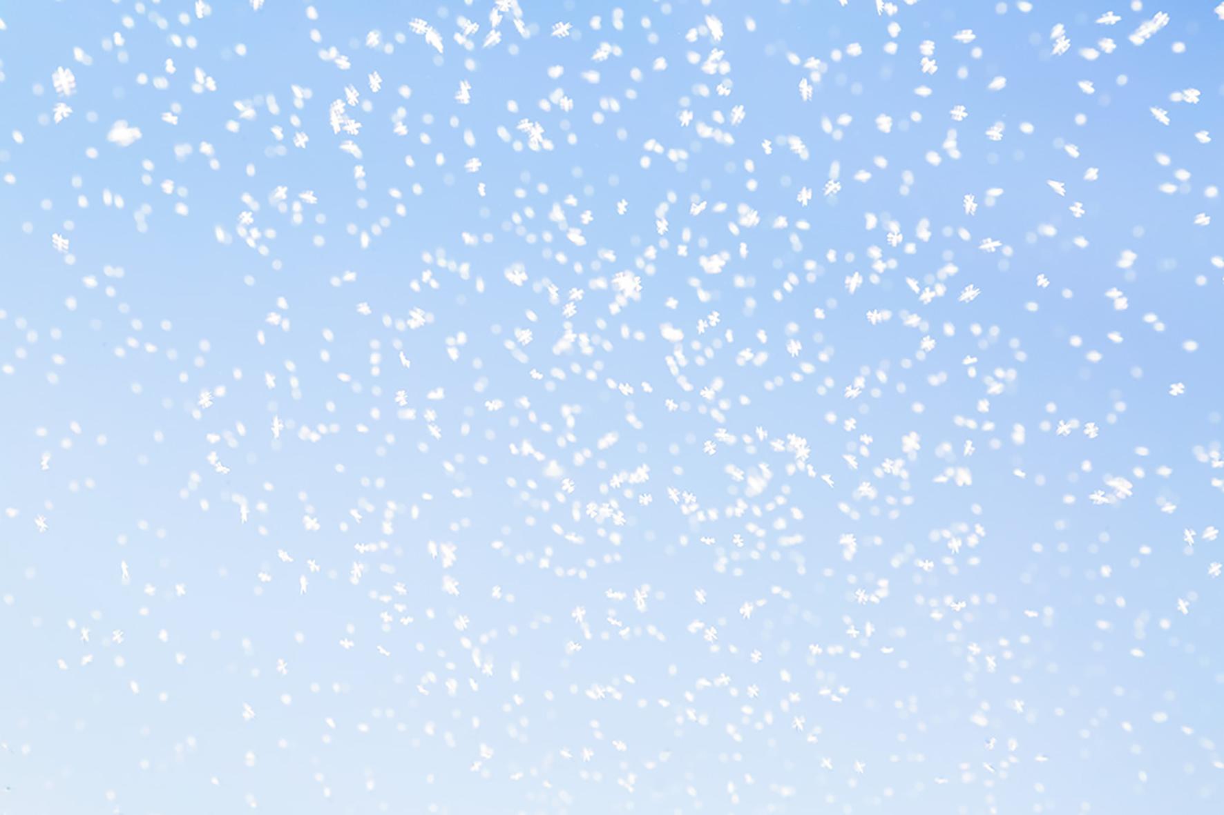 Yoshinori MIZUTANI (*1987, Japan)
Yusurika 015, 2015
Archivalischer Pigmentdruck auf Hahnemuhle Fine Art Baryta Papier
150 x 230 cm (59 x 90 1/2 Zoll)
Ausgabe von 3, plus 2 AP
nur drucken

Die Arbeiten von Yoshinori Mizutani (*1987, Japan) bieten