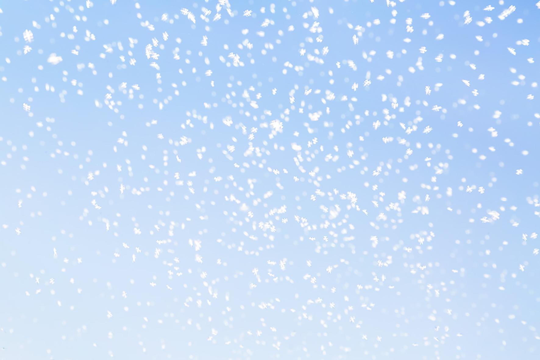 Yusurika 015 – Yoshinori Mizutani, Colour, Photography, swarm, flies, Sky