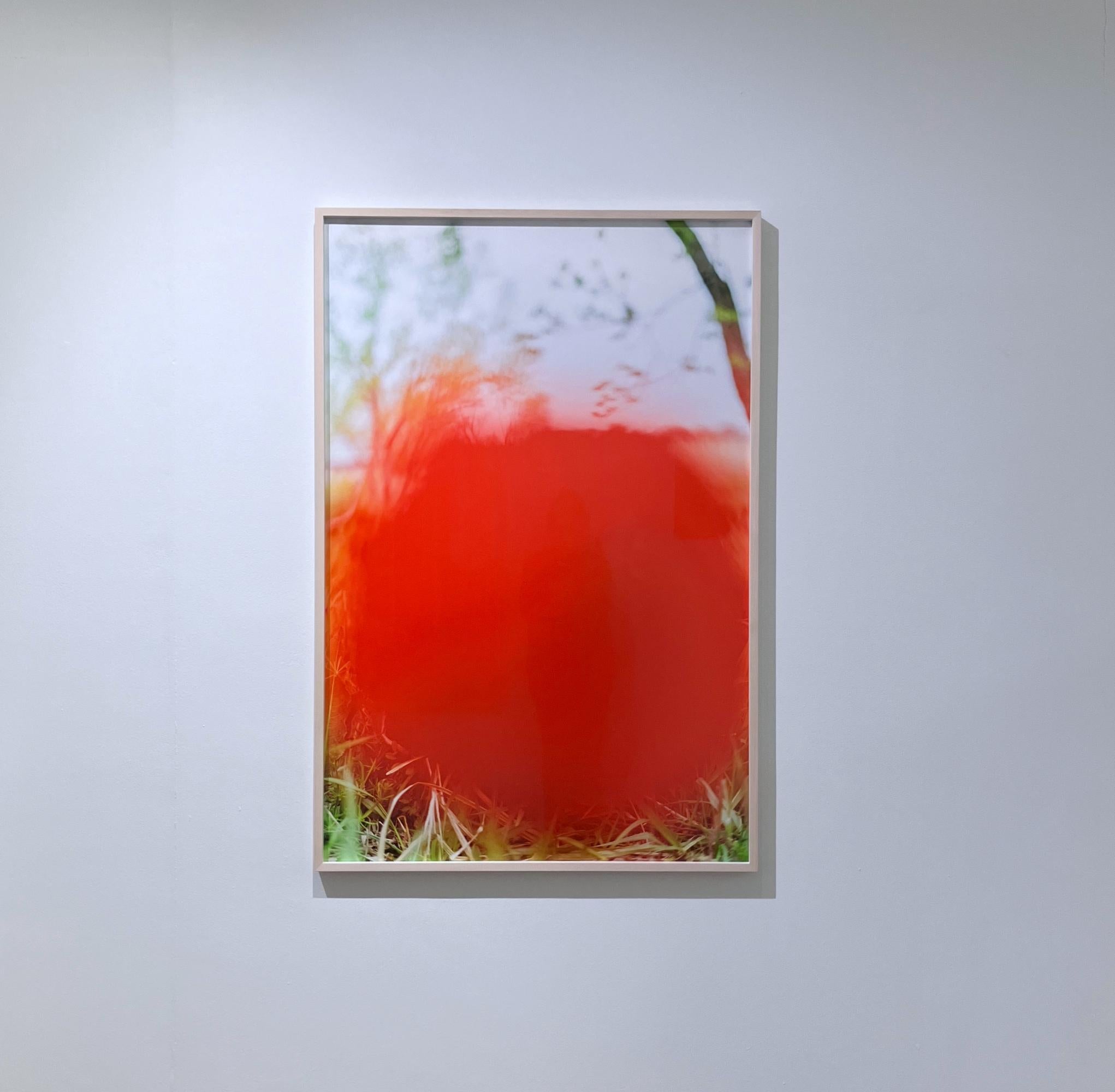 Yusurika 024  - Yoshinori Mizutani, Farbe, Fotografie, Baum, Natur, Kunst, Himmel im Angebot 1