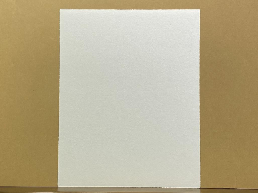 El tiempo pasa. Edición limitada de 52 (1 calcografía en color) firmada por Yoshitomo Nara en venta 4