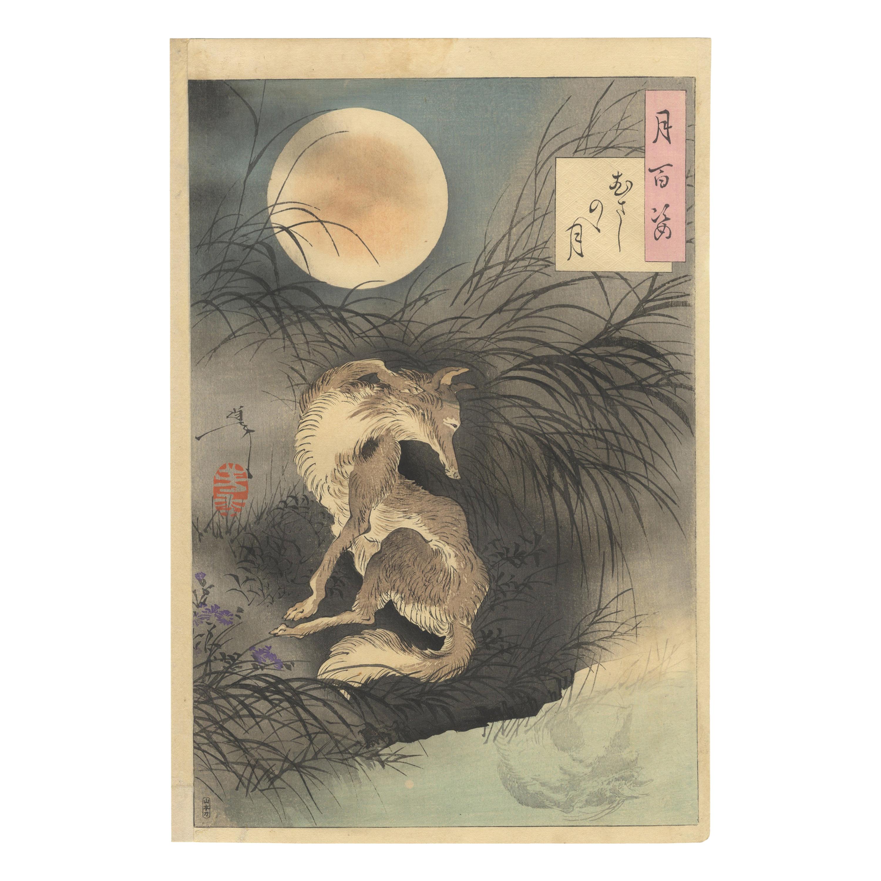 Yoshitoshi Tsukioka, 19th Century Japanese Woodblock Print, Ukiyo-e, 100 Aspects For Sale