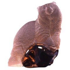 „YOUNG GRIZZLY BEAR LYING ON A ROCK“, A. Zimmermann