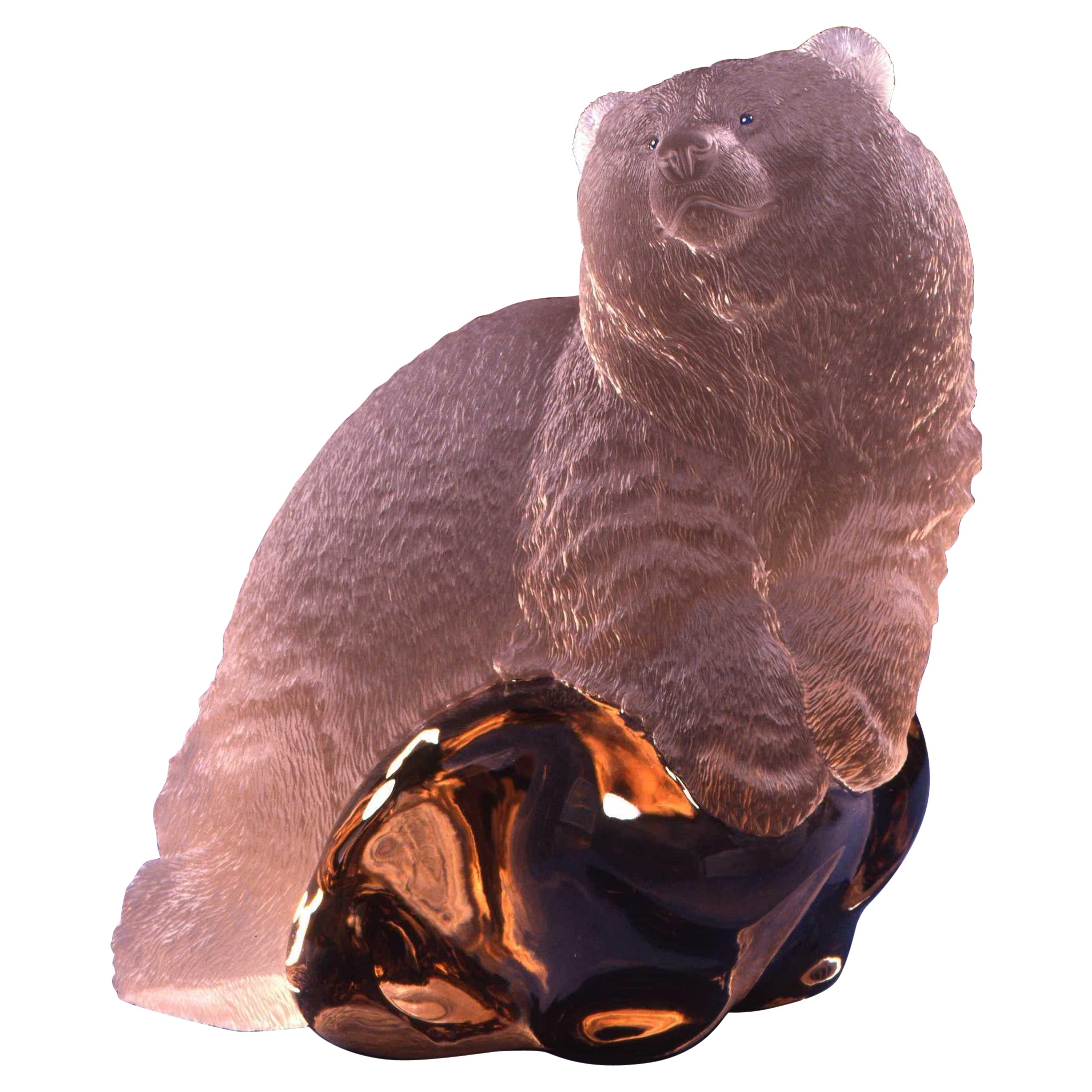 "YOUNG GRIZZLY BEAR LYING ON A ROCK", A. Zimmermann