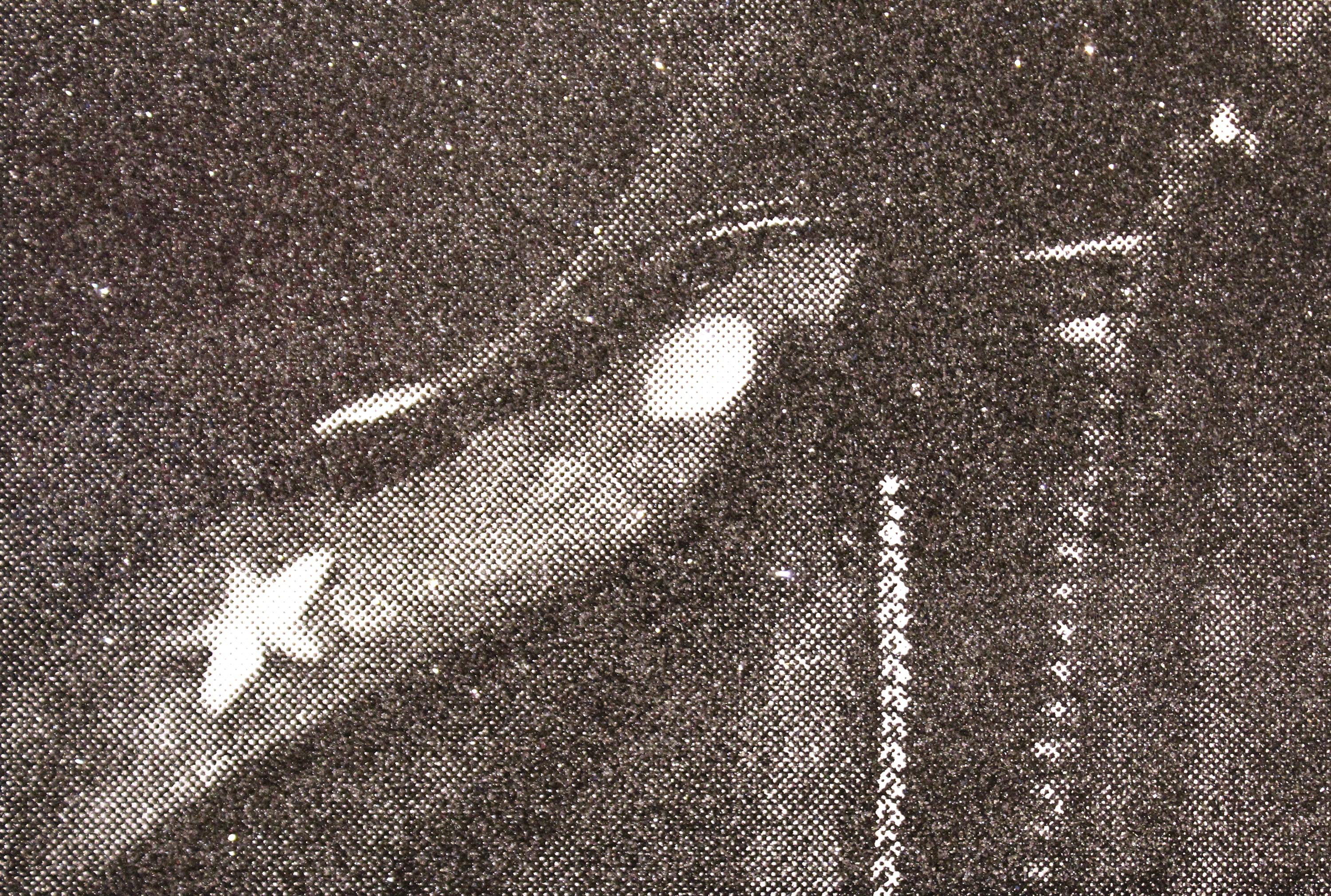 Une œuvre mixte de Russel Young. 