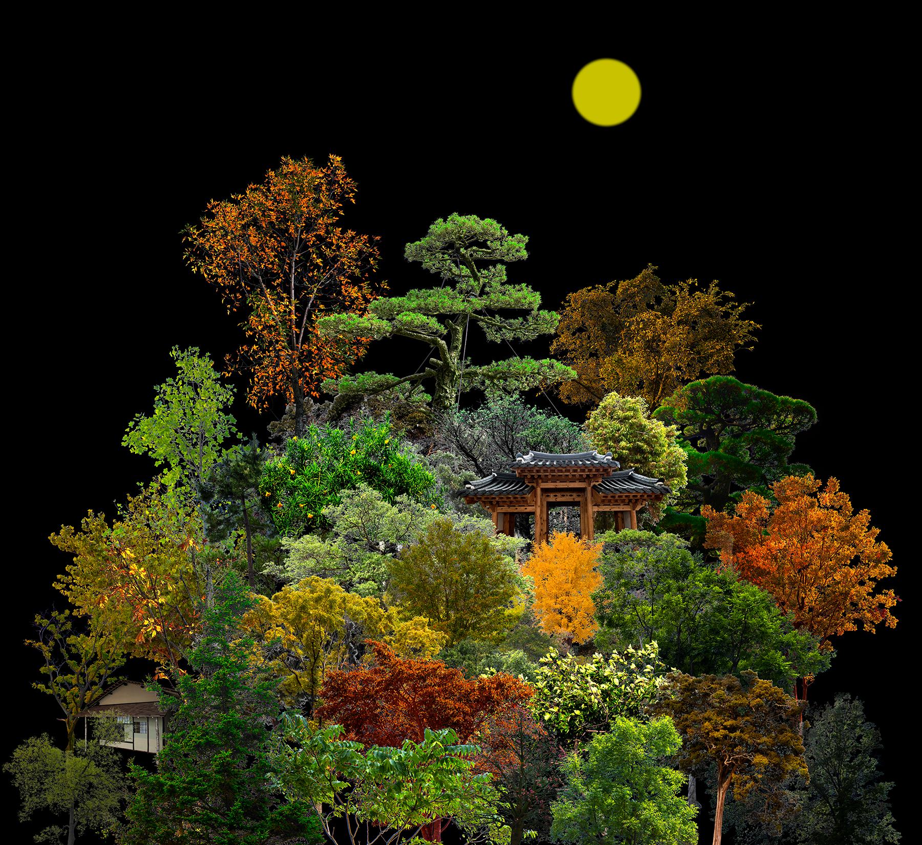 Landscape Photograph Young Sam Kim - Nous avons besoin...