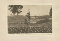 Young Tobacco Under Shade-Plants, Sungei Tatouk — C.J. Kleingrothe, ca. 1910