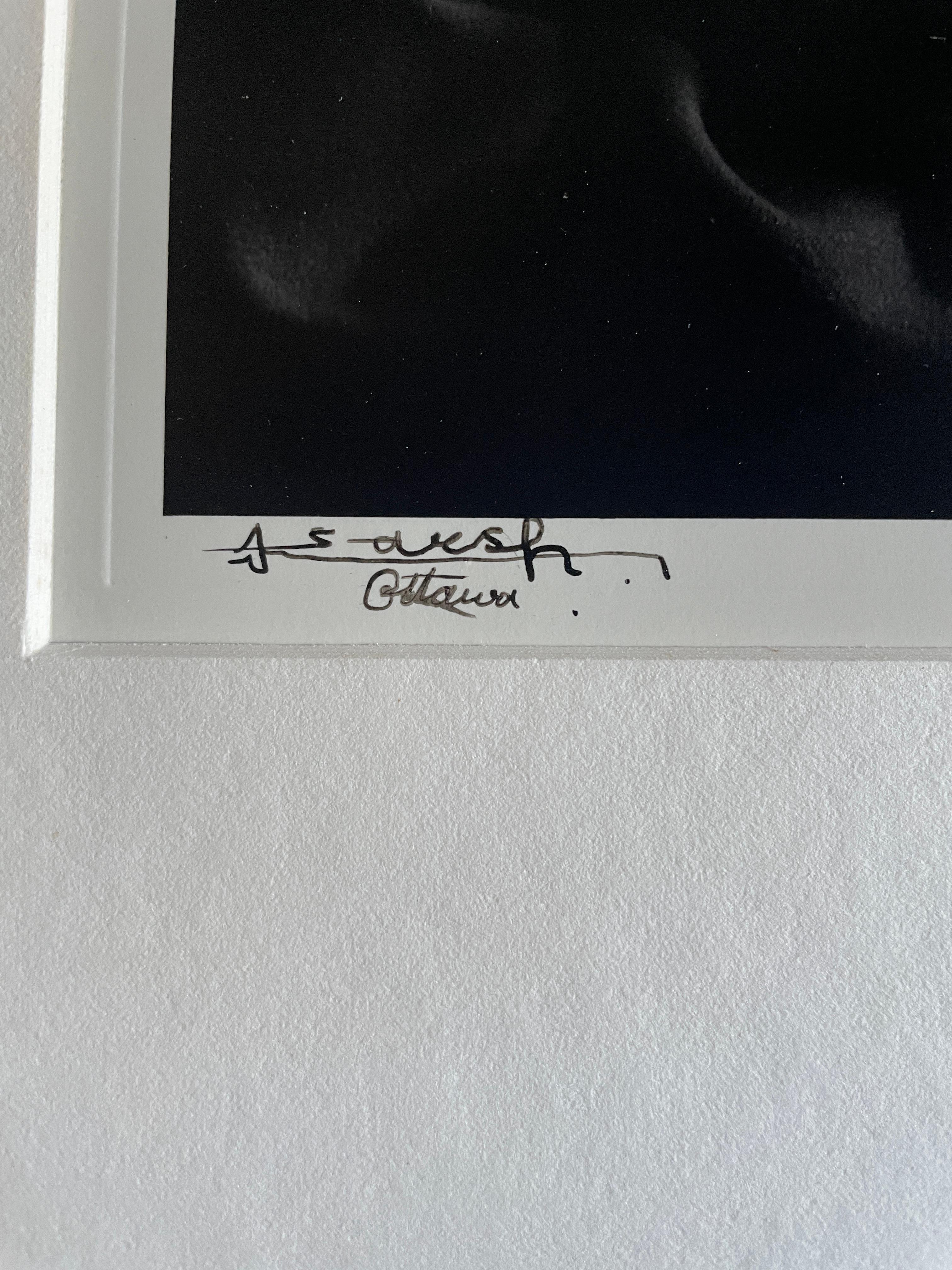 Albert Einstein (Schwarz), Black and White Photograph, von Yousuf Karsh
