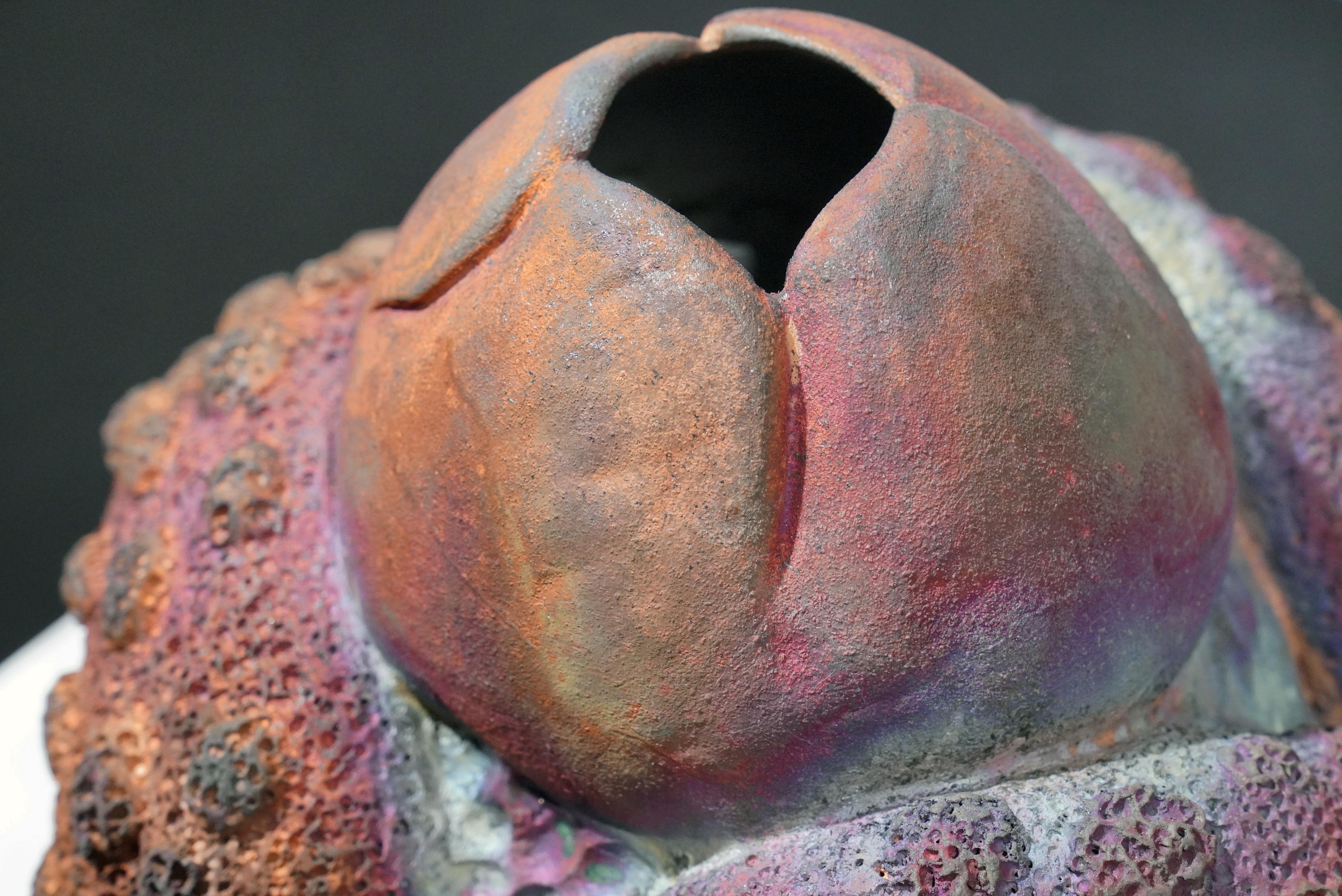 Fired Youth - life magnified collection raku ceramic pottery sculpture by Adil Ghani For Sale