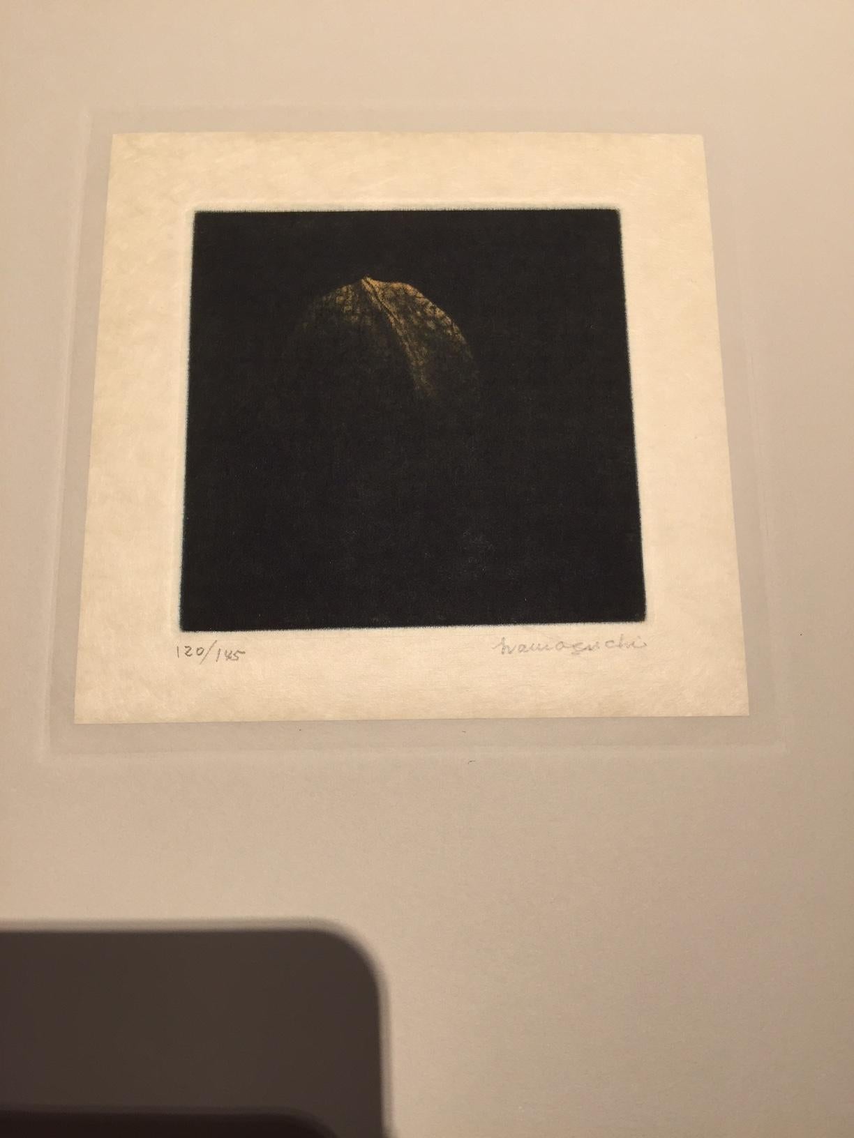 Collection of Still Life Mezzotint - Contemporary Print by Yozo Hamaguchi