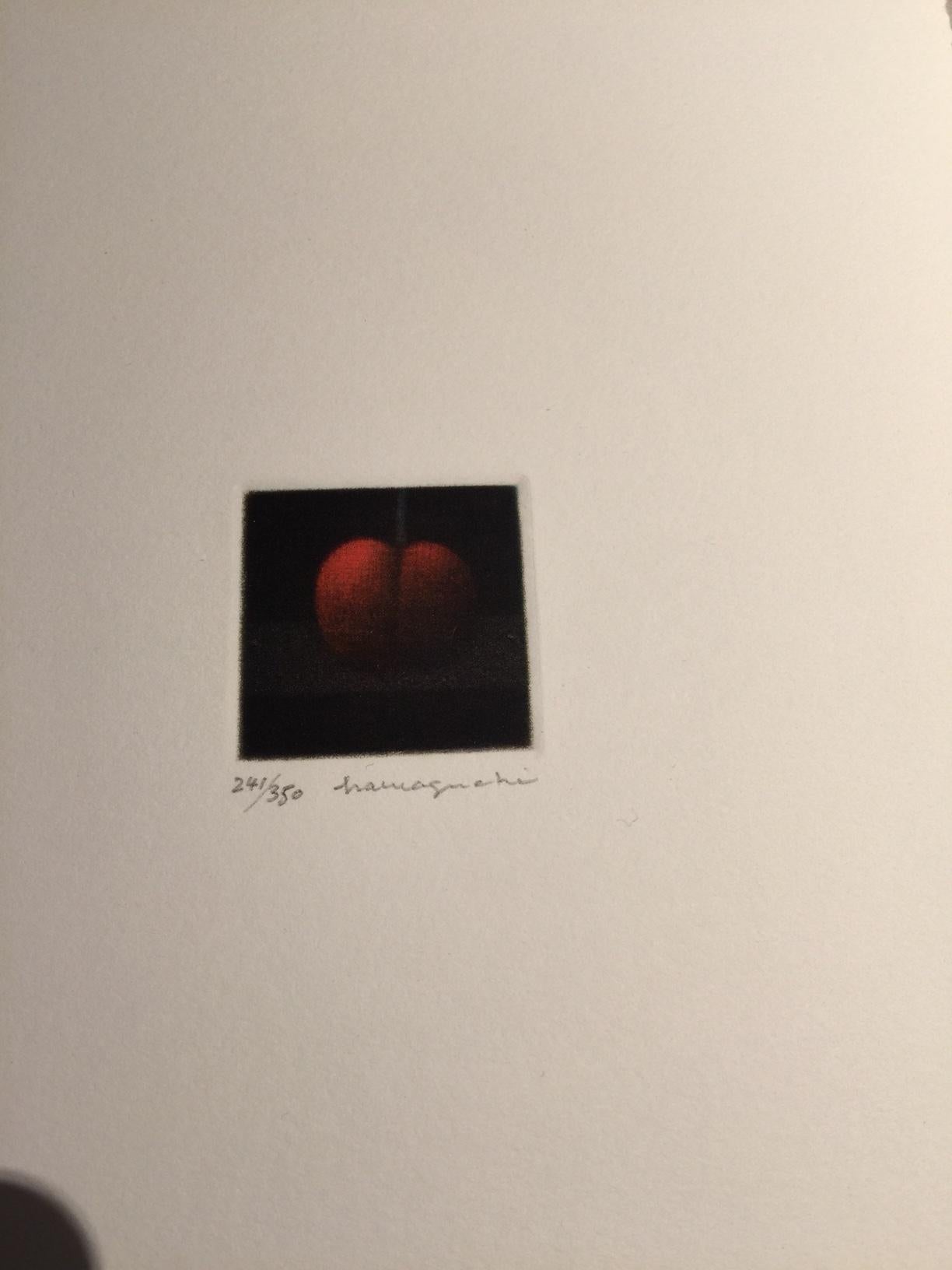 Collection of Still Life Mezzotint For Sale 2