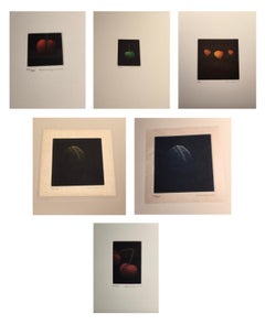 Collection of Still Life Mezzotint