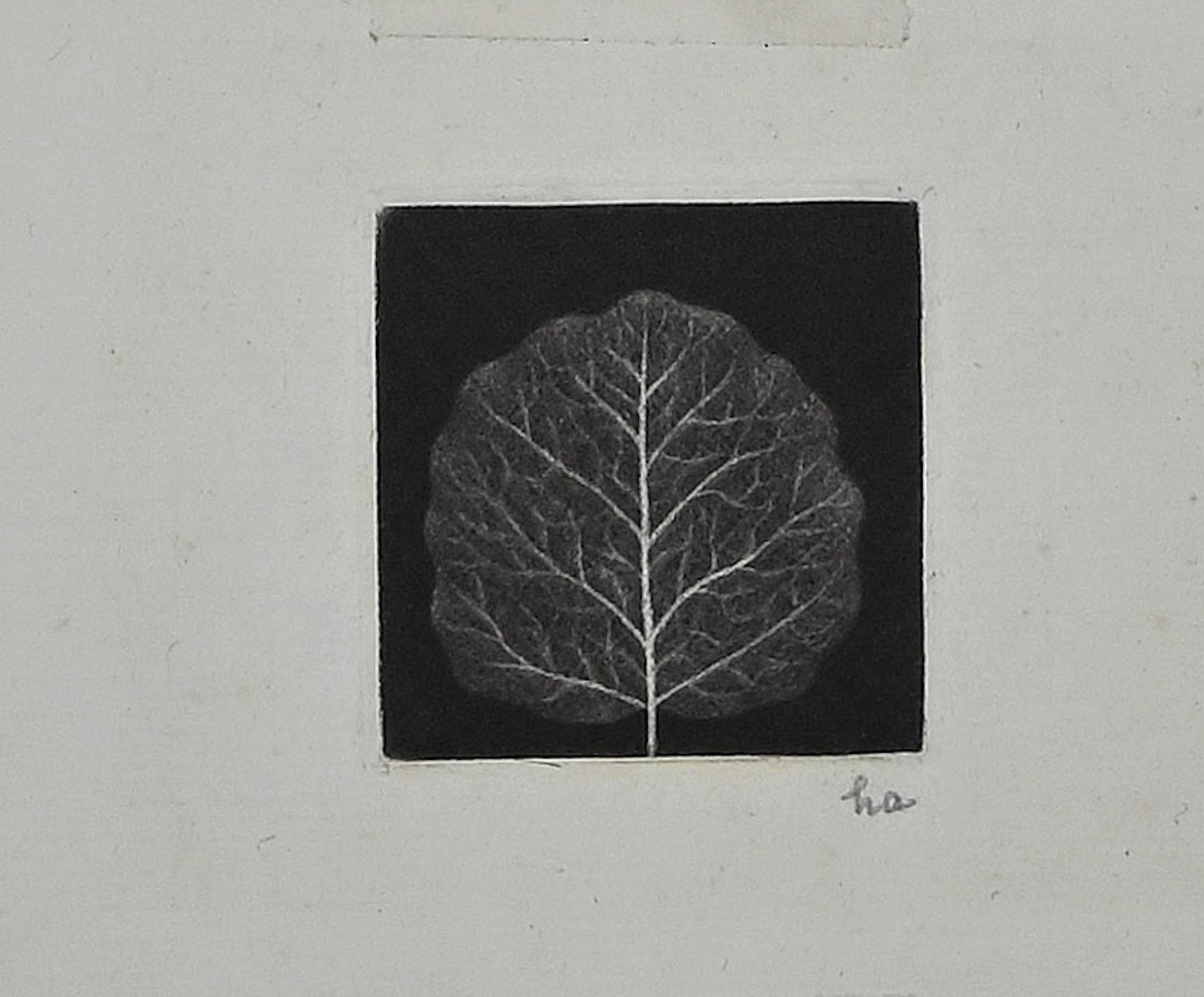 Leaf - Original Mezzotint by Yozo Hamaguchi - 1967