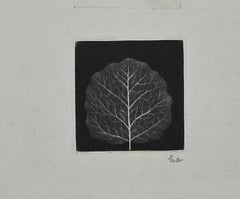 Leaf - Mezzotint by Yozo Hamaguchi - 1967