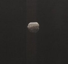 Walnut - Original Mezzotint by Yozo Hamaguchi - 1979