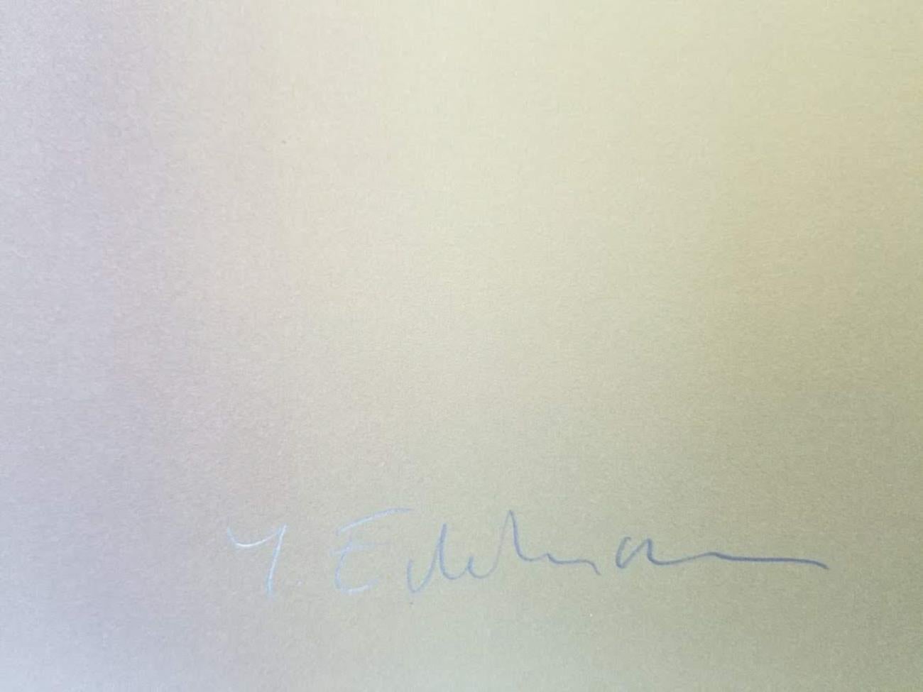 ABSOLUT CITRON For Sale 4