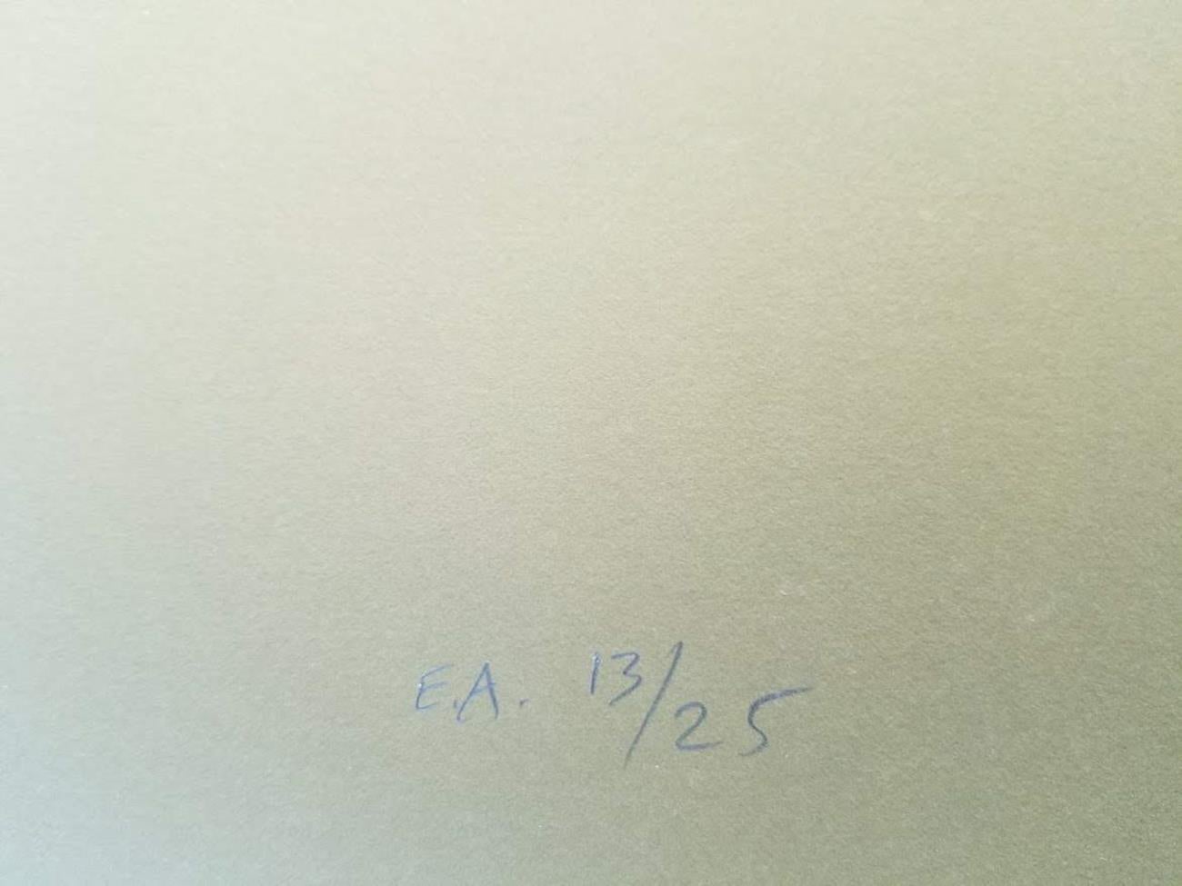 ABSOLUT CITRON For Sale 5