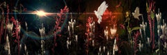Night Life(2/7), Contemporary Digital Photo Collage, Plexi Mounted Dibond