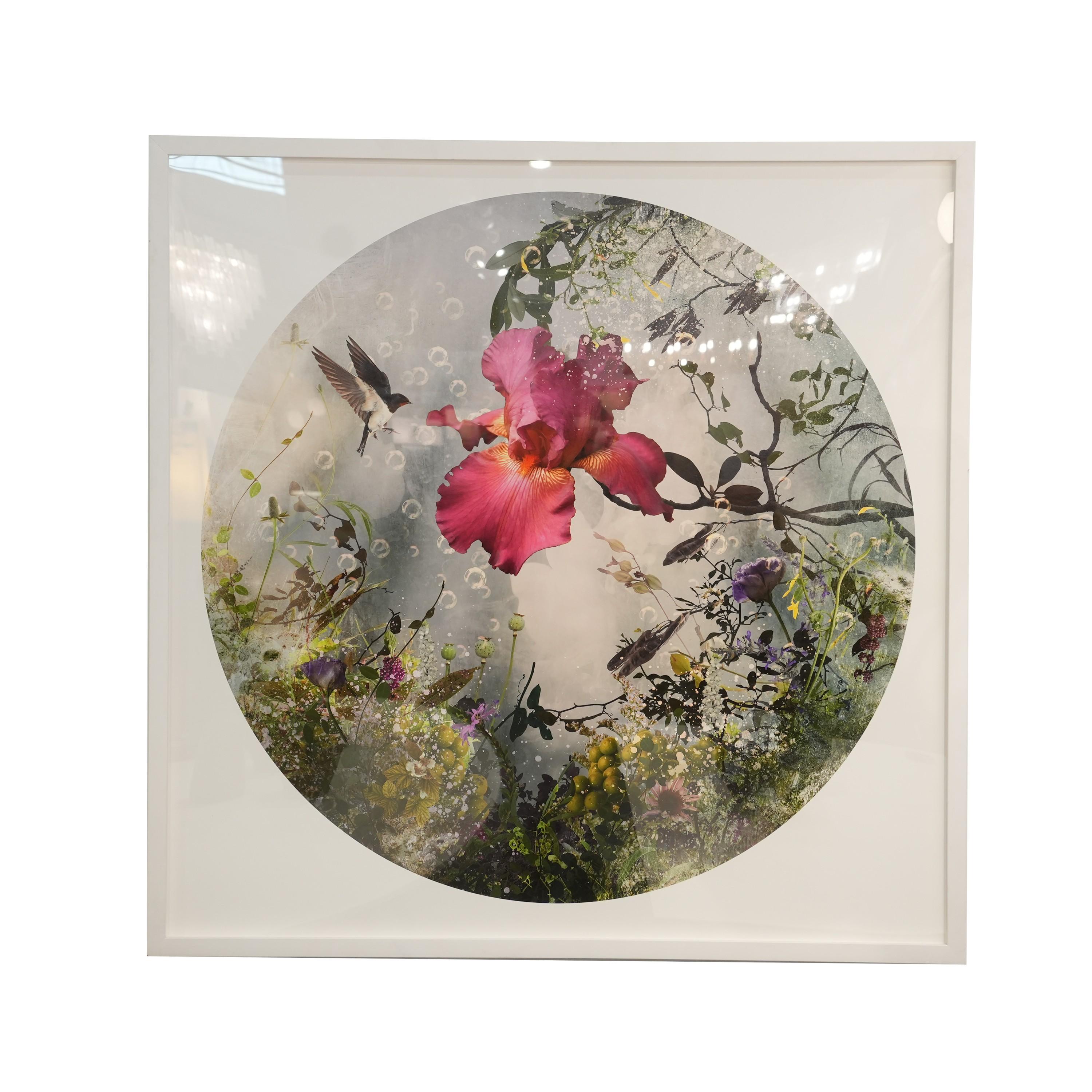 Digital composite, hypercollage photography print on Hahnemuhle Photo Rag Baryta
40 × 40 in  101.6 × 101.6 cm
Editions 3, 4, 5 of 5 + 3AP
Part of a limited edition set
Ysabel LeMay produces photographic montages in homage to nature and what she sees