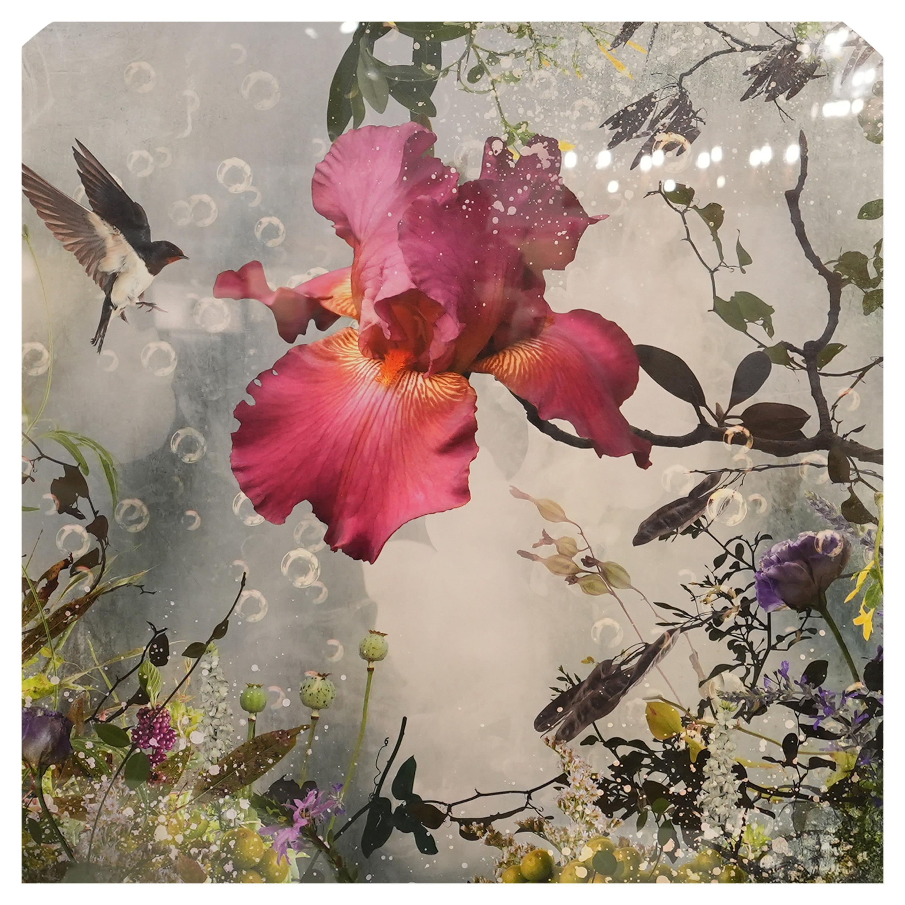 Ysabell Lemay " Arcadia" Framed Photograph