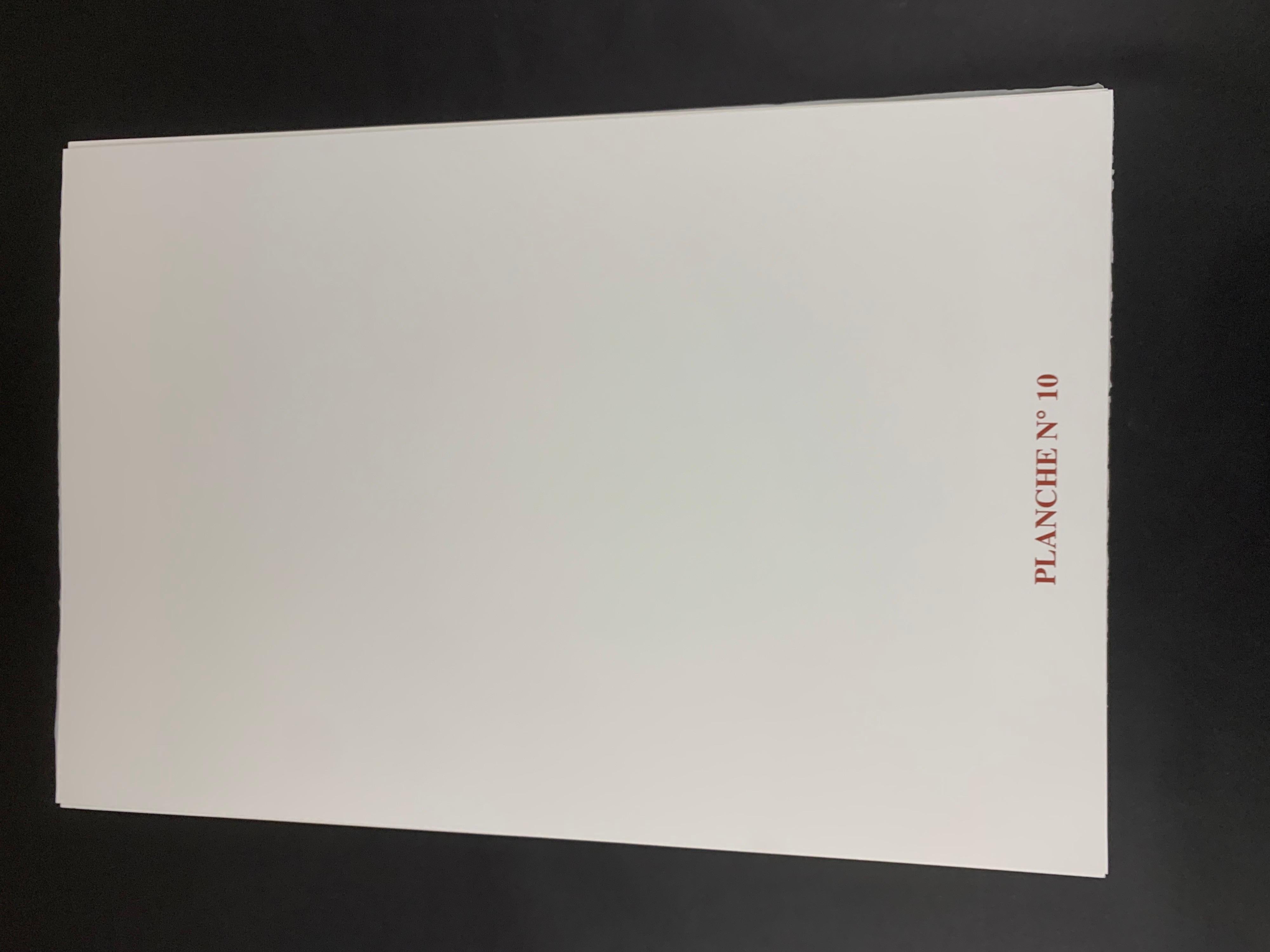 Lotus Pool - Zeitgenössisch, 21. Jahrhundert, Lithographie, Limitierte Auflage, Chinesisch im Angebot 4