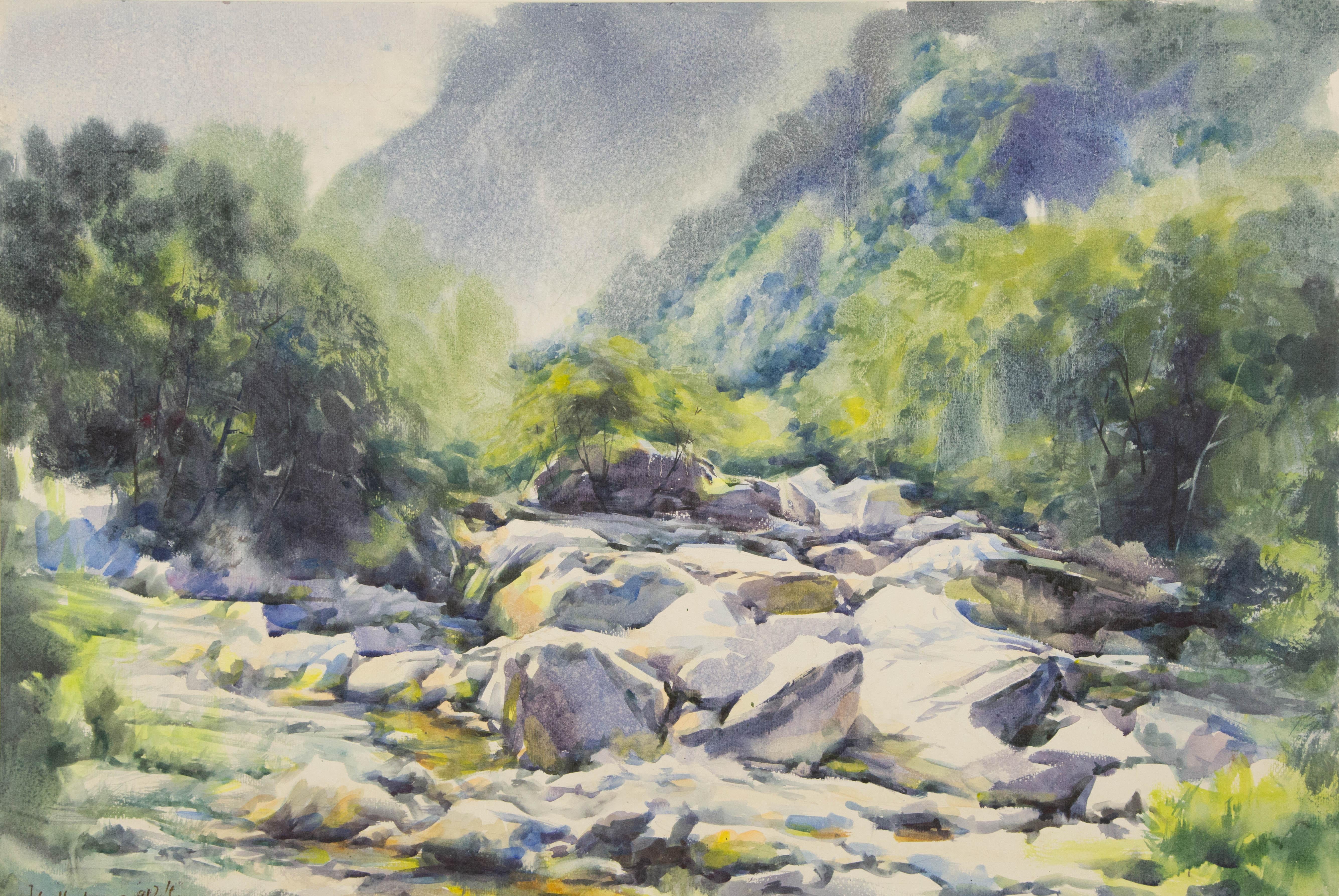  Titel: Zwischen den Felsen und dem Grün 1
 Medium: Öl auf Leinwand
 Größe: 21 x 30 Zoll
 Rahmen: Einrahmungsmöglichkeiten vorhanden!
 Zustand: Das Gemälde scheint in ausgezeichnetem Zustand zu sein.
 Hinweis: Dieses Gemälde ist nicht aufgespannt.
