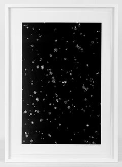 Hommage an Wilson A. Bentley #19