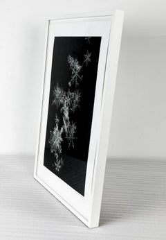 Hommage an Wilson A. Bentley #4