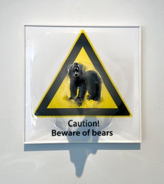 3-D wall sculpture plastic contemporary animal figurative pop art bear interior