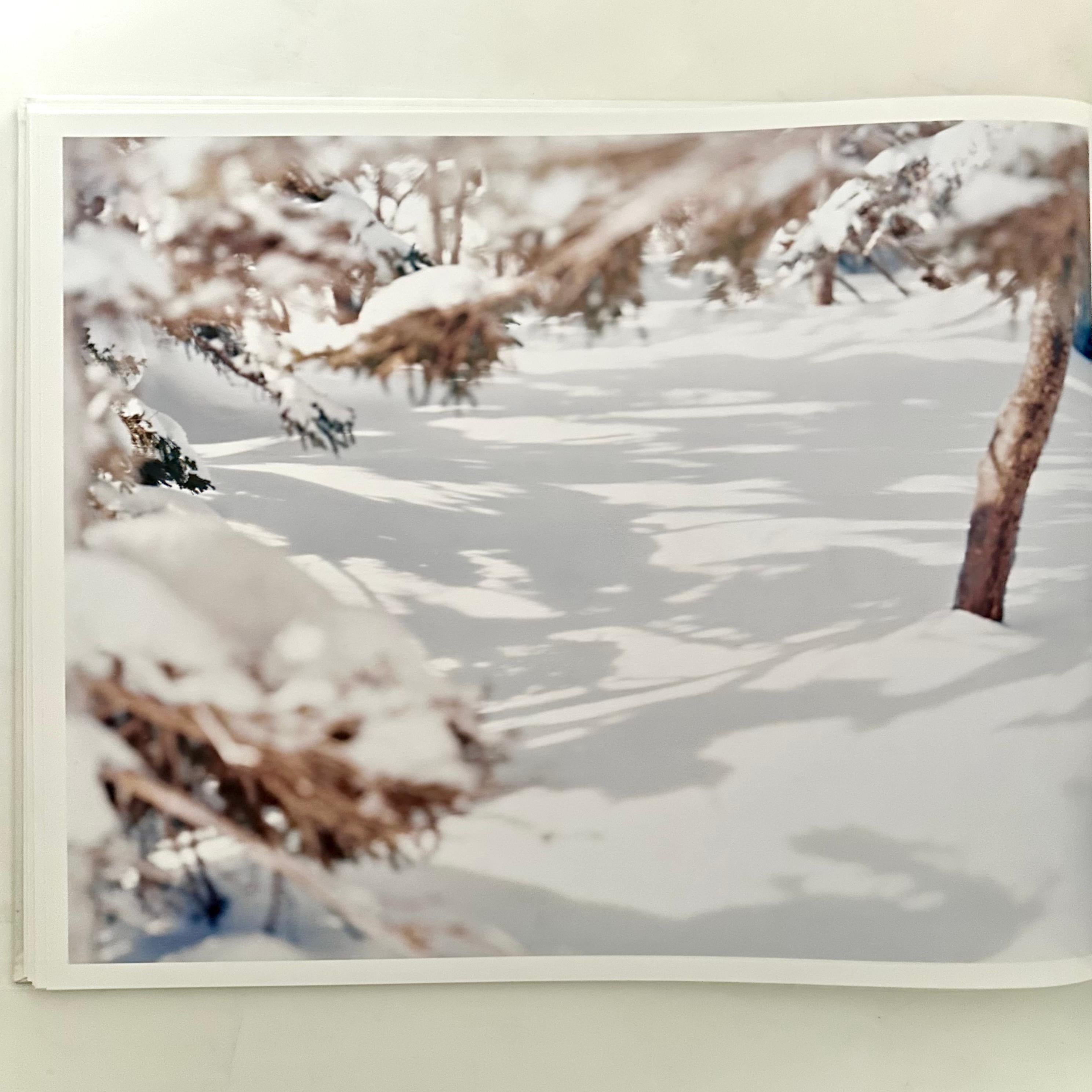 Contemporary Yuki · Sakura / Snow · Cherry Blossom - Risaku Suzuki - 1st Edition, 2008