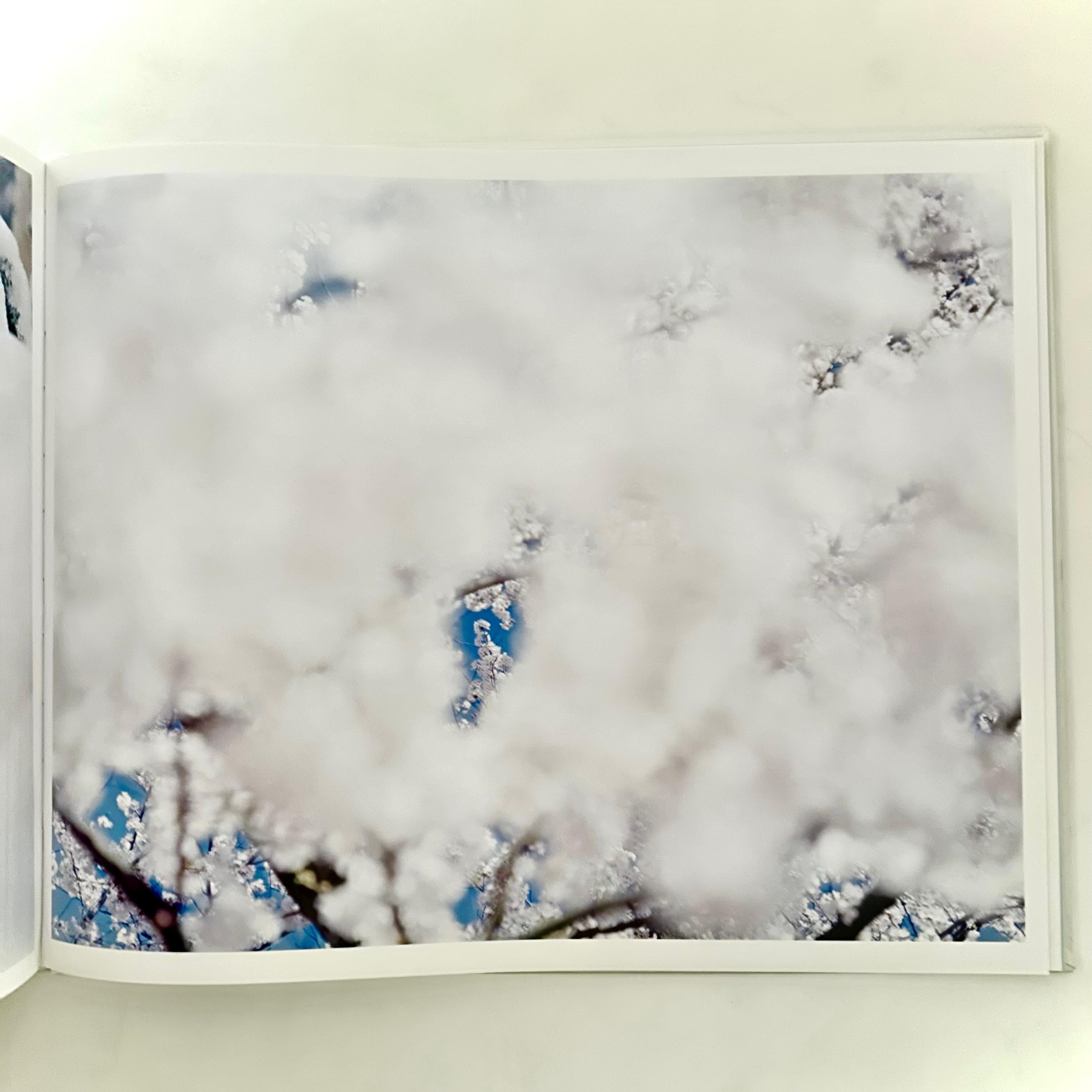 Paper Yuki · Sakura / Snow · Cherry Blossom - Risaku Suzuki - 1st Edition, 2008