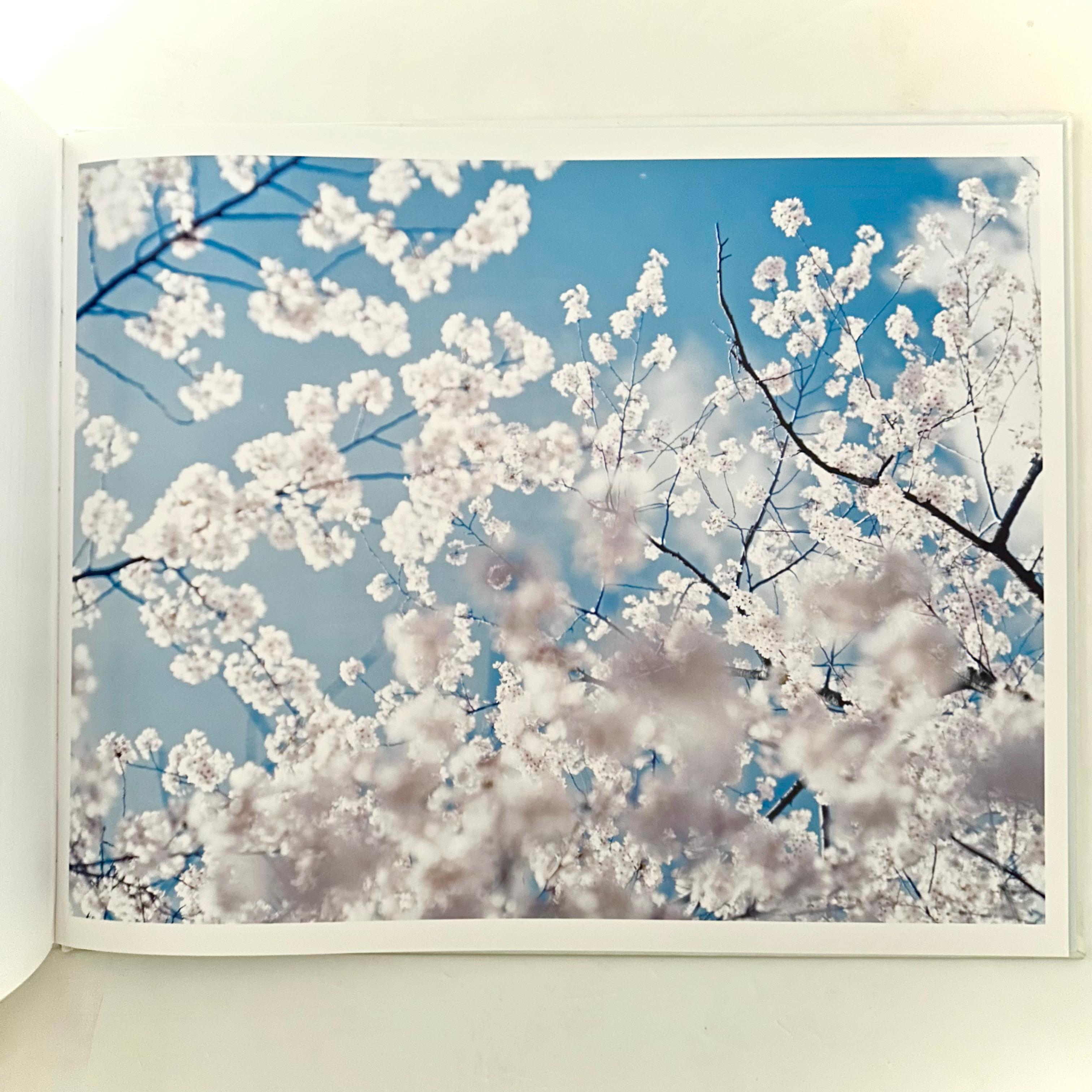 Yuki · Sakura / Snow · Cherry Blossom - Risaku Suzuki - 1st Edition, 2008 1