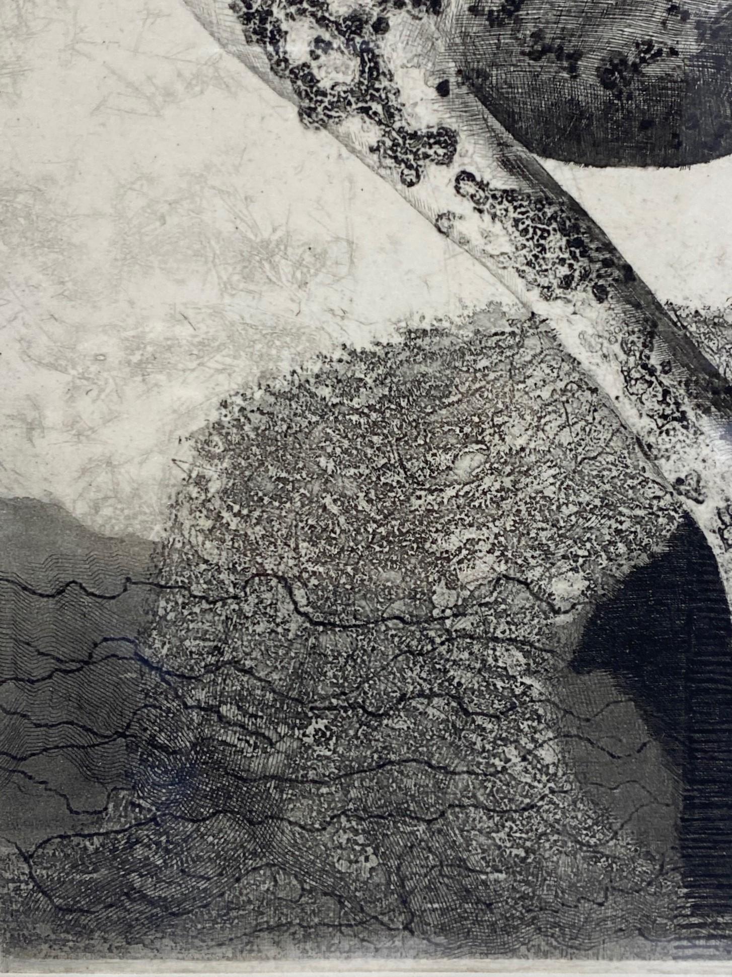 Yukio Fukazawa Signierter japanischer abstrakter Aquatinta-Radierungsdruck in limitierter Auflage 1