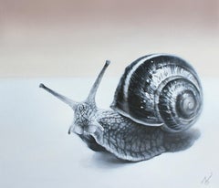 "Gratitude 1." (2020) By Yuko Montgomery, Original Oil Painting of Snail