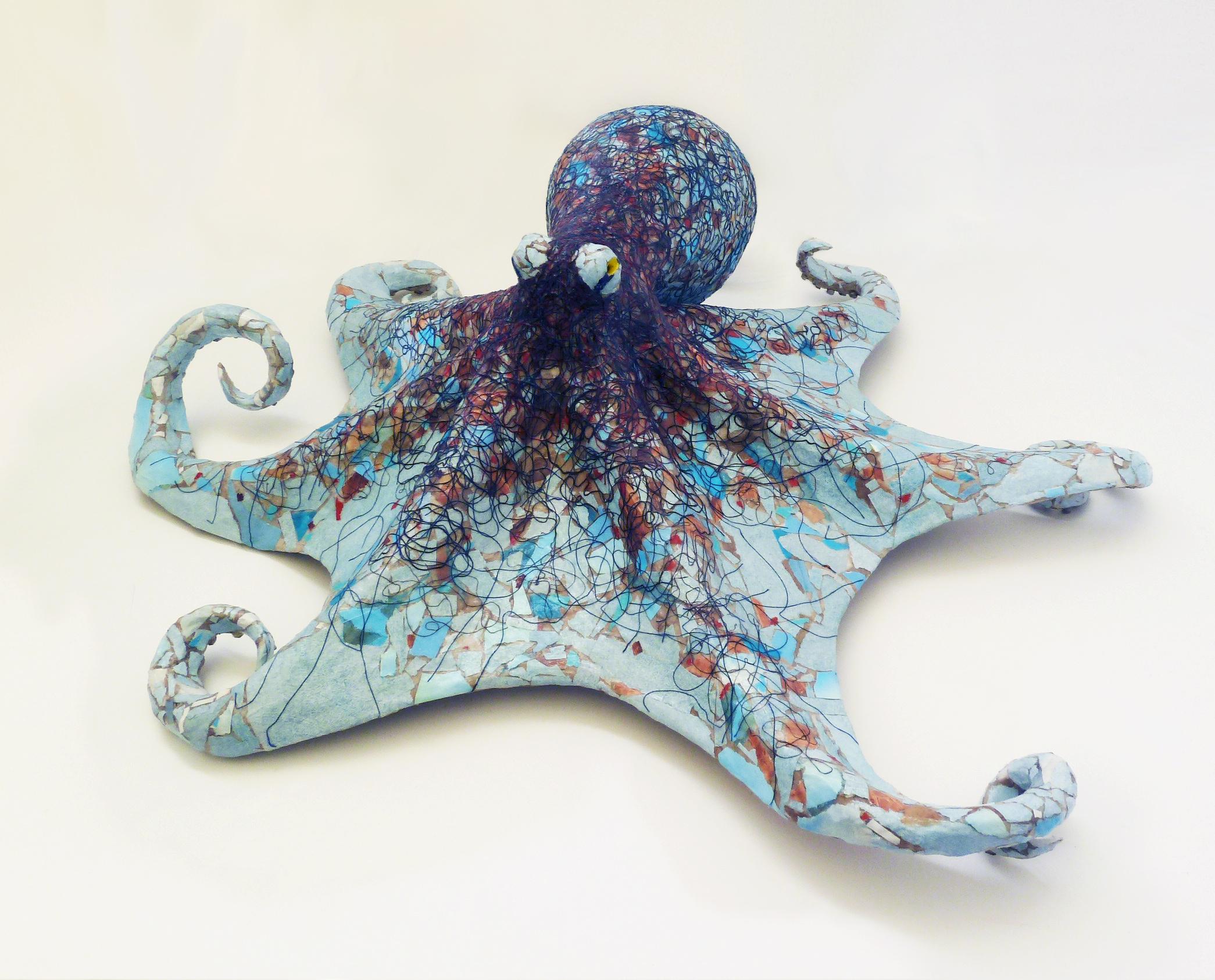 caribbean reef octopus for sale