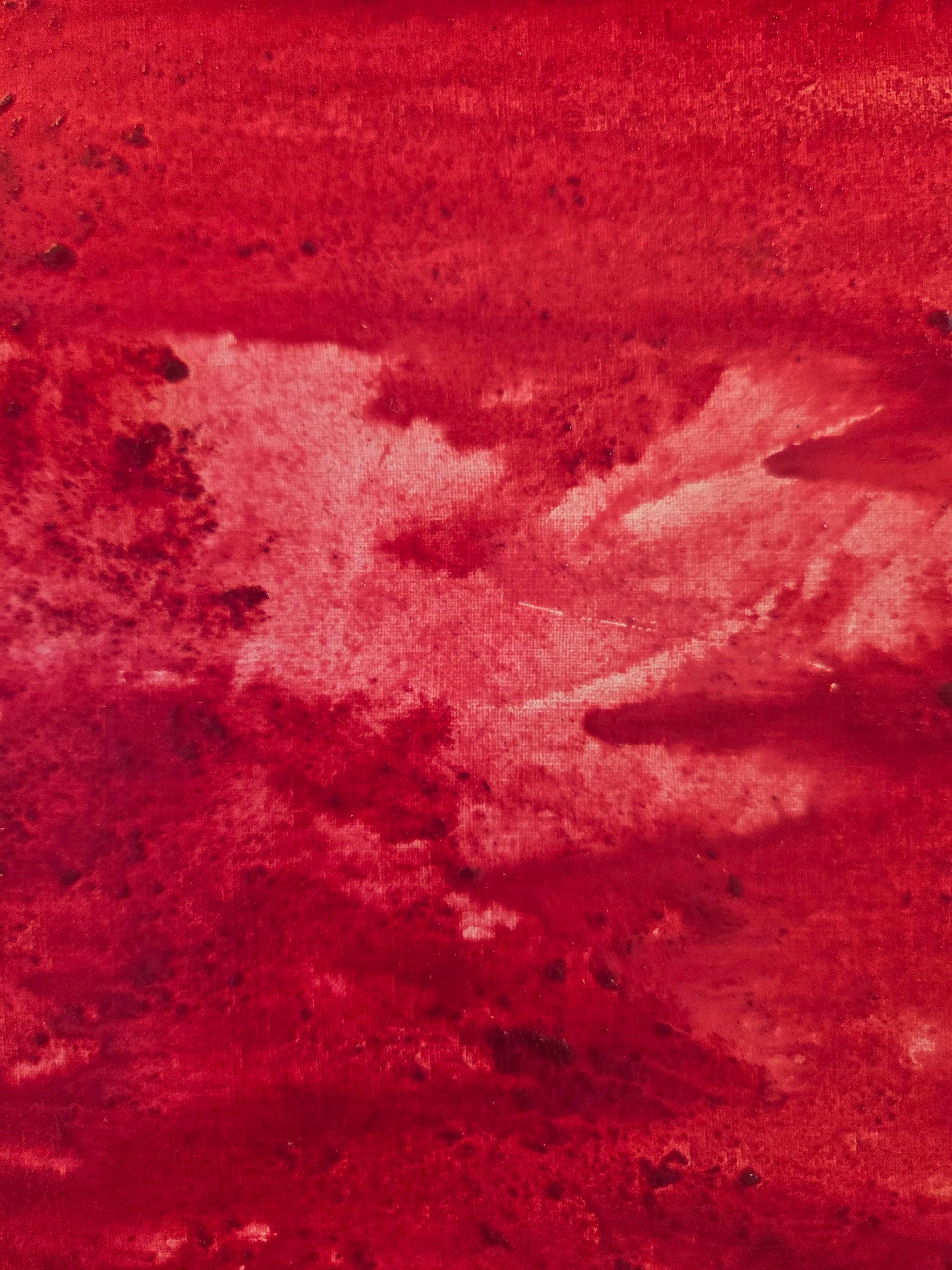 Realms of Paradise: Study 1 For Sale 2