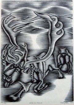 Rein Og Pulk (Renne e Slitte) - Il lappone Sami nel suo Pulk